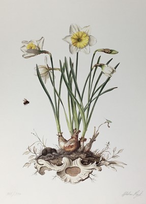 Lot 122 - Graham Rust (b.1942) signed limited edition lithograph - Narcissi, 315/350, unframed