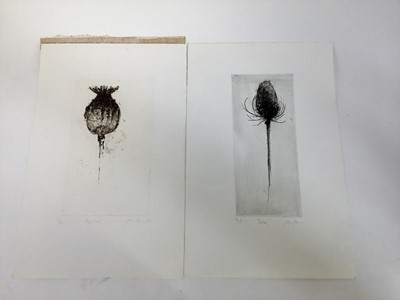 Lot 121 - Pair of contemporary English School signed limited edition etchings - Teasel and Poppy head, indistinctly signed, unframed