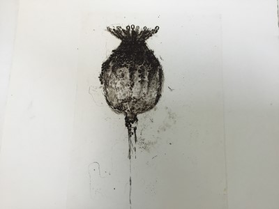Lot 121 - Pair of contemporary English School signed limited edition etchings - Teasel and Poppy head, indistinctly signed, unframed