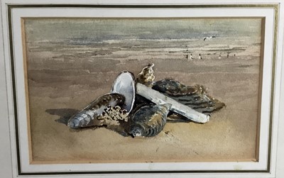 Lot 177 - English School, late 19th century, watercolour - seashells, in glazed gilt frame