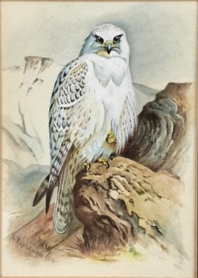 Lot 180 - After Archibald Thorburn, watercolour, bearing signature and dated 1914