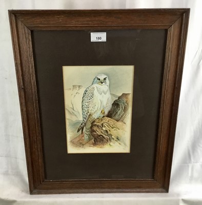 Lot 180 - After Archibald Thorburn, watercolour, bearing signature and dated 1914