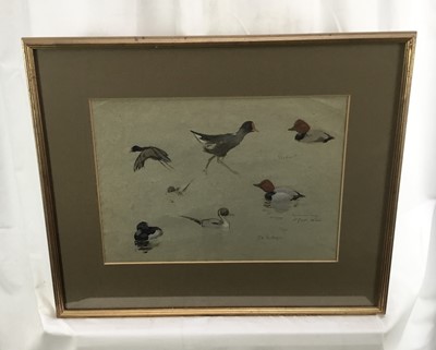 Lot 124 - Patrick Edward Phillips (1907-1976) pencil and watercolour sketches of wildfowl, signed and inscribed, in glazed gilt frame