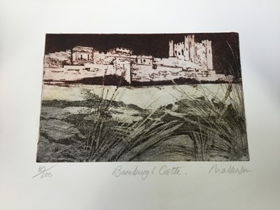 Lot 135 - Pat Mallinson (1930-2008) group of seven signed limited edition coloured etchings