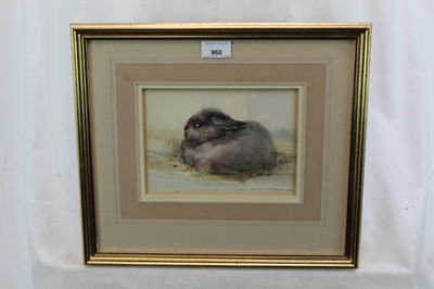 Lot 960 - Ian Armour-Chelu (1928-2000) watercolour - Baby Grey Rabbit, 
signed, in glazed frame