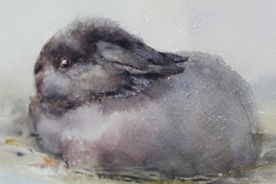 Lot 960 - Ian Armour-Chelu (1928-2000) watercolour - Baby Grey Rabbit, 
signed, in glazed frame