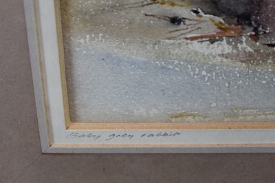 Lot 960 - Ian Armour-Chelu (1928-2000) watercolour - Baby Grey Rabbit, 
signed, in glazed frame