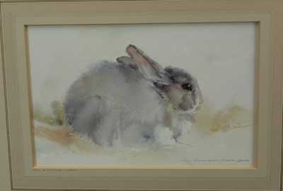 Lot 959 - Ian Armour-Chelu (1928-2000) watercolour - Grey and 
white rabbit, signed, in glazed frame