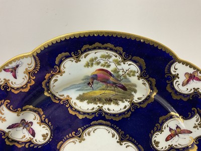 Lot 194 - Fine Flight, Barr and Barr Worcester plate, painted with birds and insects, on a blue scale ground, circa 1813-1815, red printed mark, 24 cm diameter