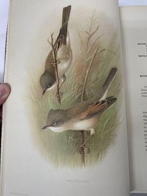 Lot 1102 - Two volumes, H. Eliot Howard, The British Warblers - A history with problems of their lives, illustrated by Henrik Gronvold, published Porter, London, 1907-1914, half calf bound