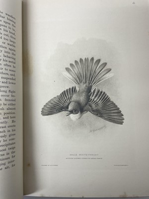 Lot 1102 - Two volumes, H. Eliot Howard, The British Warblers - A history with problems of their lives, illustrated by Henrik Gronvold, published Porter, London, 1907-1914, half calf bound