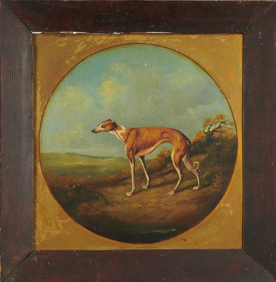 Lot 1149 - English School, early 19th century, oil on panel - A Greyhound, 36cm x 35cm, framed