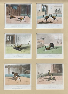 Lot 1143 - Newton Fielding (1799-1856) set of six etching and aquatints - Cock Fighting, plates I-VI, framed as one in gilt frame, 94cm x 72cm overall