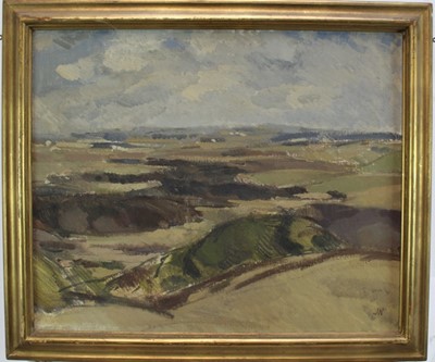 Lot 1067 - John Nash (1932-2018) oil on canvas - Extensive Landscape, initialled, 51cm x 61cm, in gilt frame