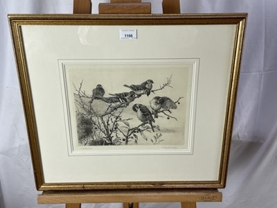Lot 1166 - Winifred Marie Louise Austen (Exh: 1899-1940) signed etching - 'Tree Sparrows', 23.5cm x 31cm, in glazed gilt frame '