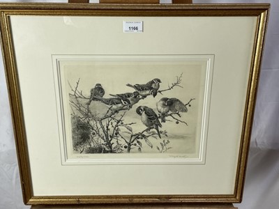 Lot 1166 - Winifred Marie Louise Austen (Exh: 1899-1940) signed etching - 'Tree Sparrows', 23.5cm x 31cm, in glazed gilt frame '