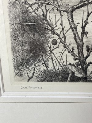 Lot 1166 - Winifred Marie Louise Austen (Exh: 1899-1940) signed etching - 'Tree Sparrows', 23.5cm x 31cm, in glazed gilt frame '