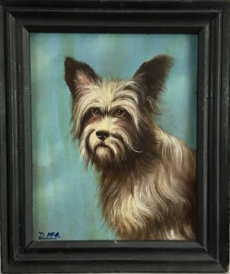 Lot 13 - D. McArthur, oil on canvas, 
Buddy, a scruffy terrier, signed, 
in painted frame. 24 x 19cm.