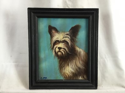 Lot 13 - D. McArthur, oil on canvas, 
Buddy, a scruffy terrier, signed, 
in painted frame. 24 x 19cm.