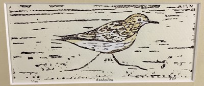 Lot 6 - Edmund Oxborrow woodcut - ‘Sanderling’, numbered 1/100, signed and titled