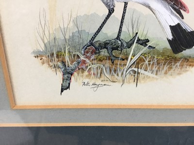 Lot 32 - Peter Hayman (b.1930) watercolour - wheat ear, signed