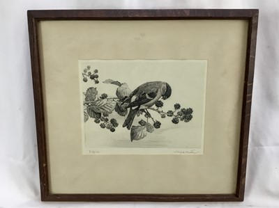Lot 33 - Winifred Austen 1876-1864 etching - Bullfinch, signed in pencil, 19cm x 15cm