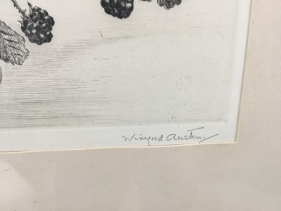 Lot 33 - Winifred Austen 1876-1864 etching - Bullfinch, signed in pencil, 19cm x 15cm