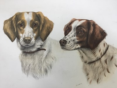 Lot 75 - Leon Danchin (1887-1838) lithograph - Two dogs, signed in pencil, 57cm x 44cm unframed