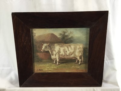Lot 35 - J. Box, 20th century oil on canvas laid on board - A prize bull, signed, 24cm x 20cm, framed