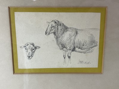 Lot 1298 - James Ward (1769-1859) pencil sketch of sheep, initialled, 10cm x 14cm, in glazed frame