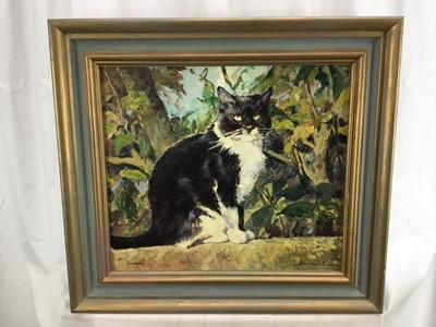 Lot 202 - Norman Coker, contemporary, oil on board, 'Badger', signed and titled, 34 x 39cm, framed