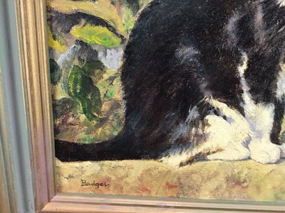Lot 202 - Norman Coker, contemporary, oil on board, 'Badger', signed and titled, 34 x 39cm, framed