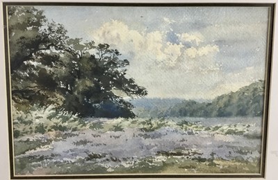 Lot 238 - English School, early 20th century, watercolour - rural landscape, 23cm x 33cm, in glazed frame