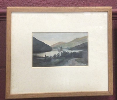 Lot 357 - David P. J. Morrison (1958-2011) watercolour- Lock Eck, signed, in glazed frame