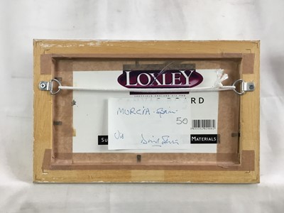 Lot 66 - David Slater (b.1943) oil on board - ‘Murcia, Spain’, 21.5cm x 11.5cm, monogrammed, framed