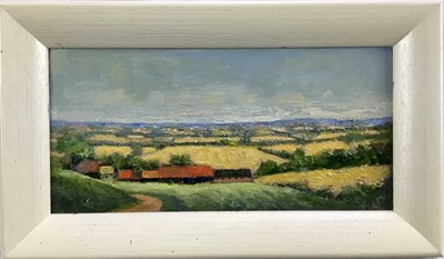 Lot 64 - David Slater (b.1943) oil on board - ‘Cornfields, Wiltshire’, 24cm x 11.5cm, monogrammed, framed
