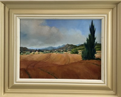 Lot 59 - David Slater (b.1943) oil on board - ‘Cornfields, Provence’, monogrammed, 39cm x 29cm, framed