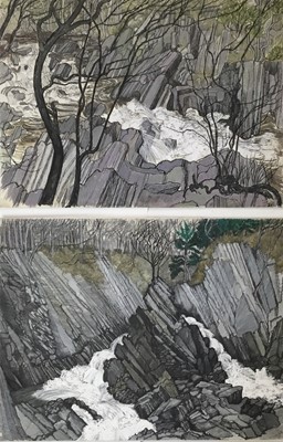 Lot 22 - *Dione Page (1936-2021) two works, gouache and pastel on paper - Welsh waterfall and ‘Conway Falls’, signed titled and dated, unframed