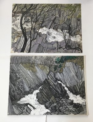 Lot 22 - *Dione Page (1936-2021) two works, gouache and pastel on paper - Welsh waterfall and ‘Conway Falls’, signed titled and dated, unframed