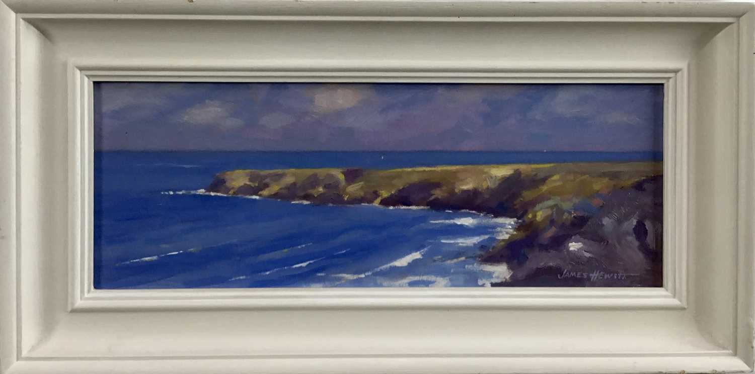 Lot 36 - James Hewitt (b. 1934) oil on board - ‘Summer in Cornwall’, signed and titled verso, 38cm x 14cm, framed