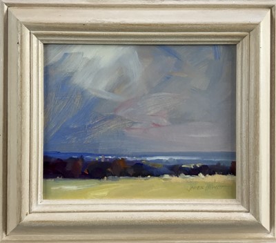 Lot 48 - James Hewitt (b. 1934) two works, oil on board - ‘Passing Rain Gt Totham’ signed, 20cm x 16cm and similar landscape of an approaching storm, signed, 19cm x 14cm
