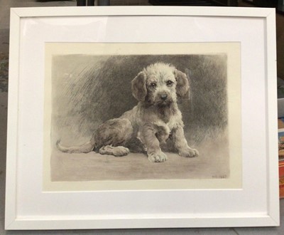 Lot 367 - Herbert Dicksee etching- Puppy, in glazed frame