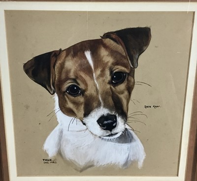 Lot 143 - Rosie Agar, pastel on paper - 'Tillie', signed and dated 'Dec 1982', in glazed frame 41cm x 44cm overall
