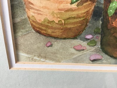 Lot 127 - English school watercolour - terracotta pots of Geraniums, monogrammed, framed