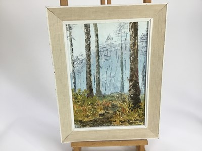 Lot 141 - Oil on board wooded landscape, 24cm x 34cm, framed 34cm x 44cm overall