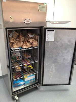 Lot 6 - A Foster stainless steel freezer, on castors, cable and plug