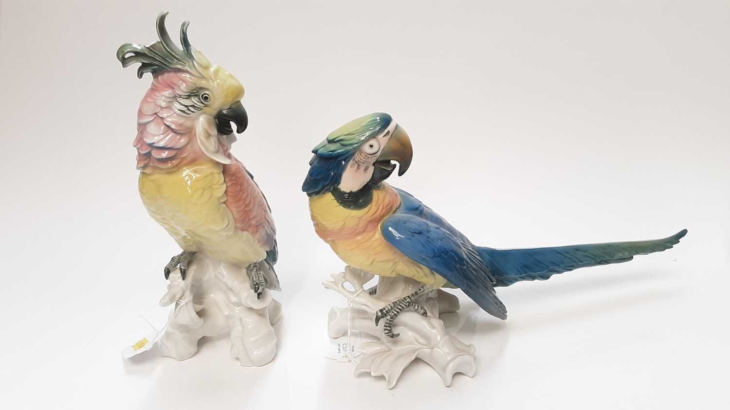 Lot 1153 - Two Karl Ens birds- parrot and cockatoo