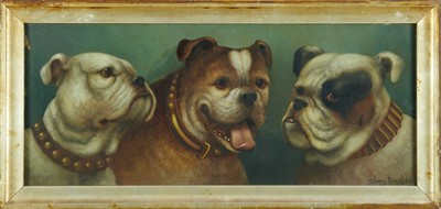 Lot 1201 - Charles Dudley, late 19th/early 20th century, oil on board, three bulldogs, signed, 25cm x 60cm, in glazed frame