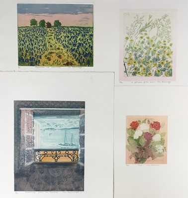 Lot 203 - Sue Kavanagh, contemporary, group of 5 signed limited edition coloured etchings - still life studies (5)