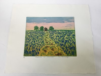 Lot 68 - Sue Kavanagh, contemporary, group of 5 signed limited edition coloured etchings - still life studies (5)